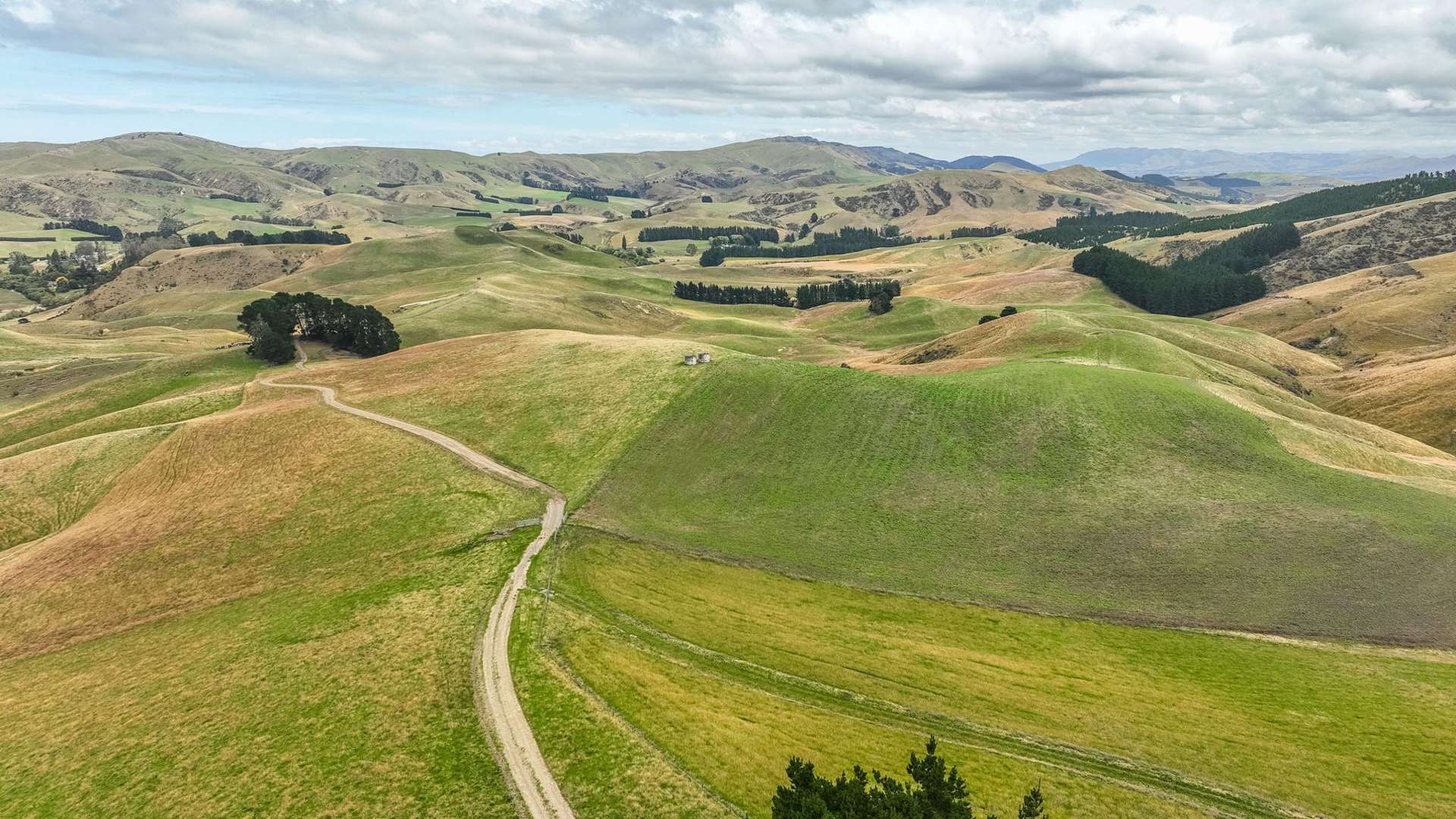 2 Cotswold Road Omihi_0