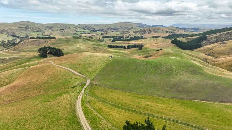 2 Cotswold Road Omihi_0