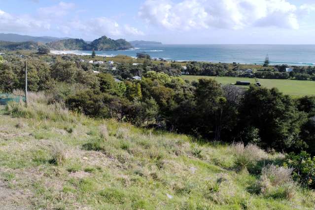 540b Medland Road Great Barrier Island_1