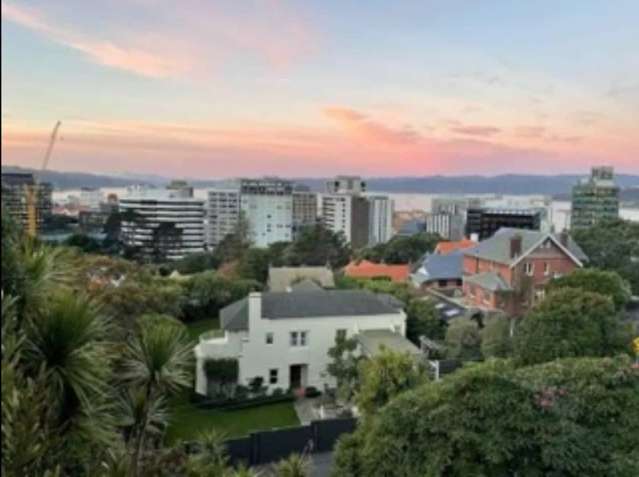 Spacious 6BR Kelburn Haven