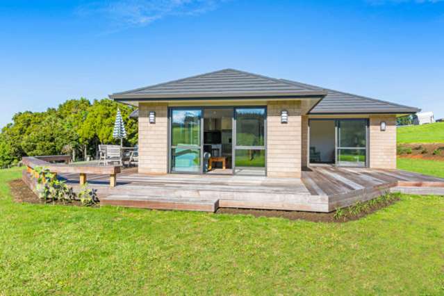 195 Cameron Town Road Pukekohe_1