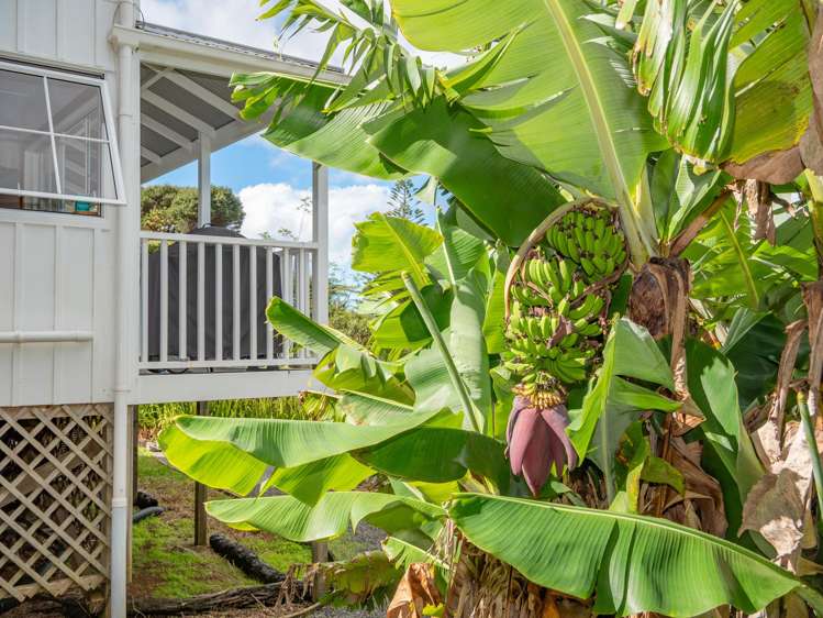 7 Thomas Street Mangonui_32