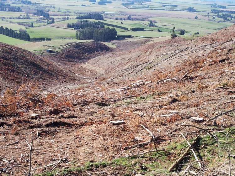 Bluff Road Sheffield_8