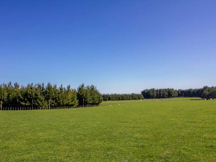 438 Omahina Road Waverley_19