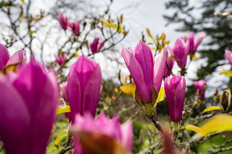 21 Rushbrook Road Ruatangata_27