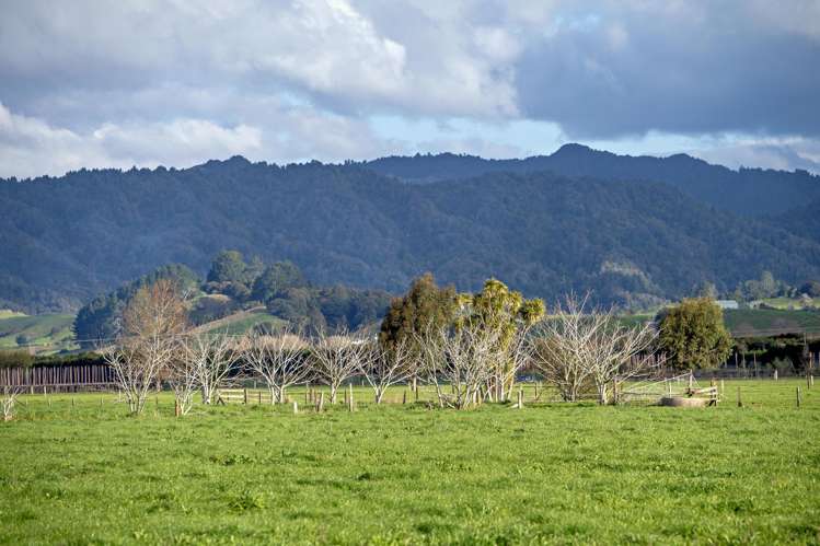 Brooklyn Farm, 126 McGinley Road Opotiki_13