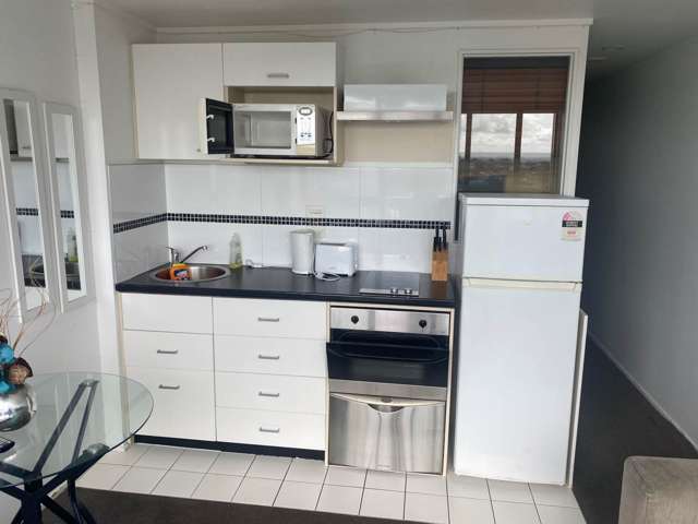 Great Seaview Investment