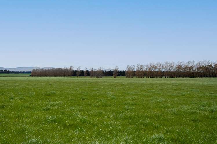 130 Warr Road Balfour_16