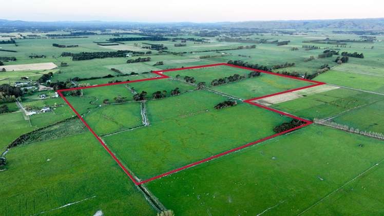 Duddings Line Tauherenikau_14