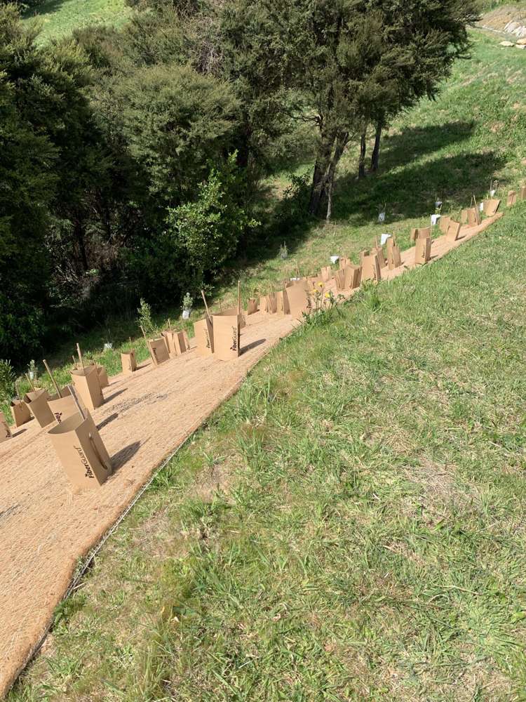 21 Skylark Rise Todds Valley_19