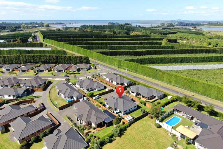 5 Layla Place Katikati_25
