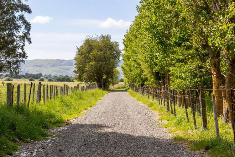 179 Bidwills Cutting Road Greytown_10