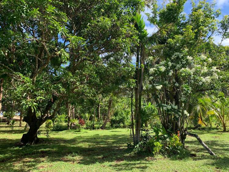 Qamea Island Vanua Levu_4