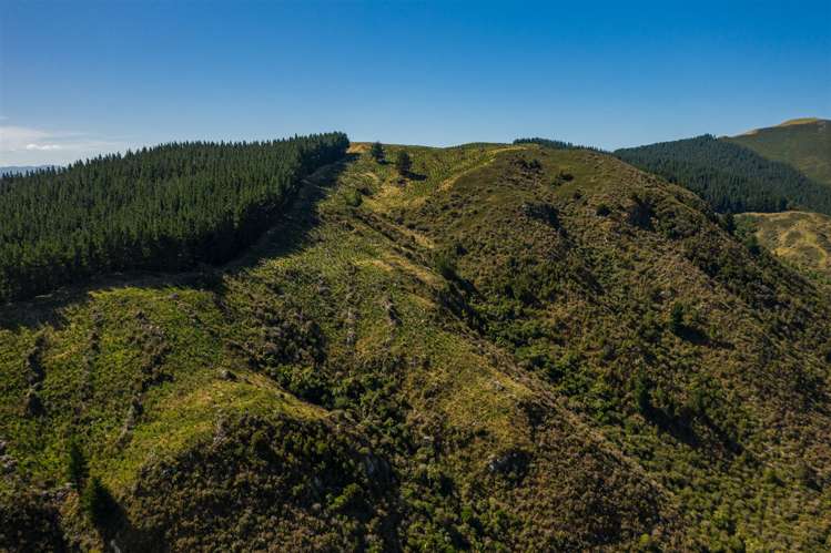 793 Taylor Pass Road Taylor Pass_6