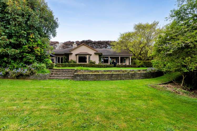 26 Shelter Grove Frankleigh Park_23