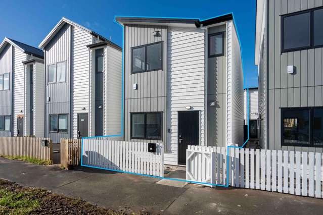 Brand New, Dual-Income Potential