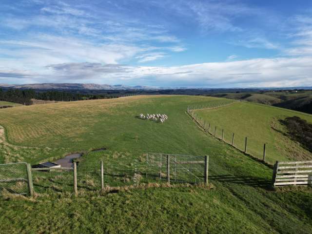 92 Cameron Road Hillend_3