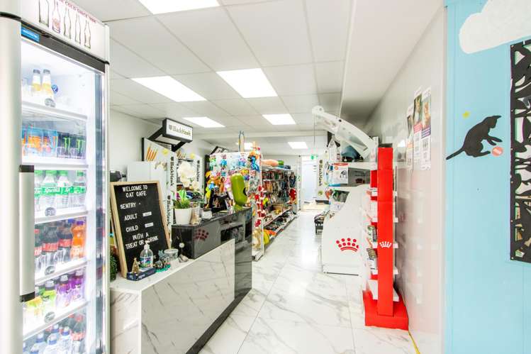 3/368 Beach Road Mairangi Bay_3