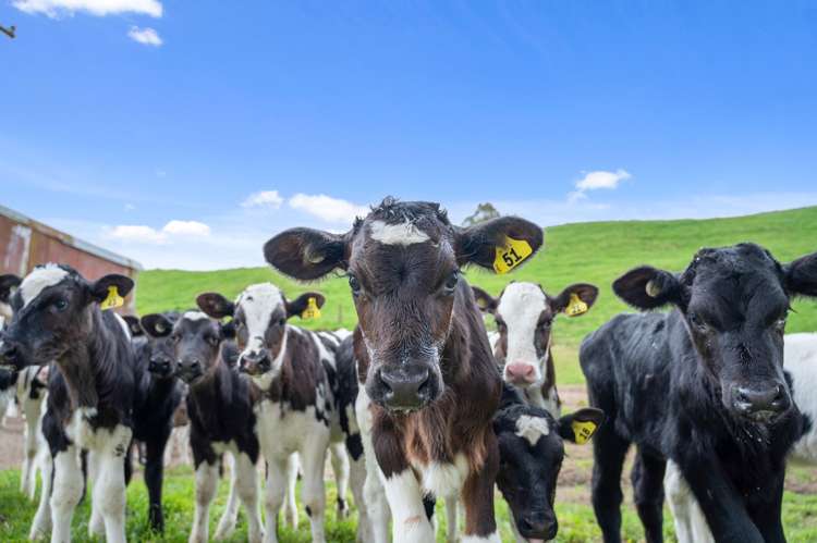 2253 State Highway 30 Atiamuri_21