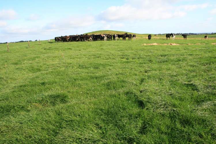 At/192-194 Dover Road Okato_9