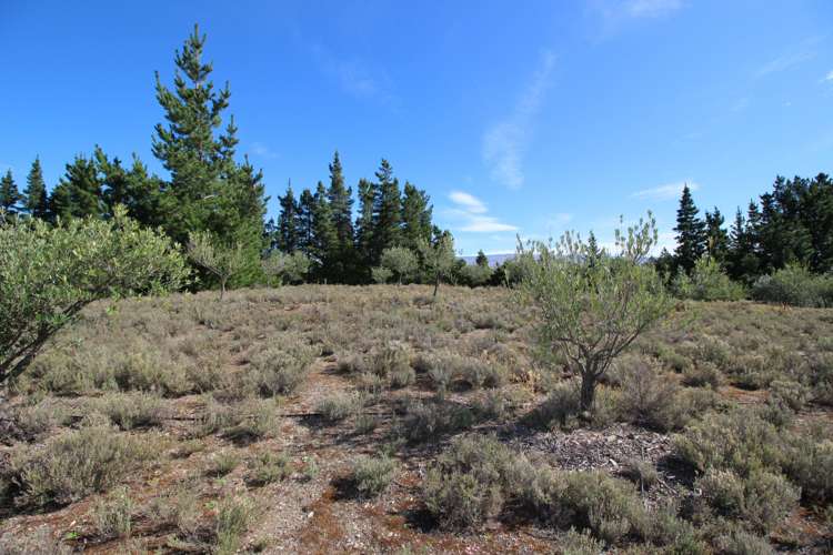 85a Letts Gully Road Alexandra_8