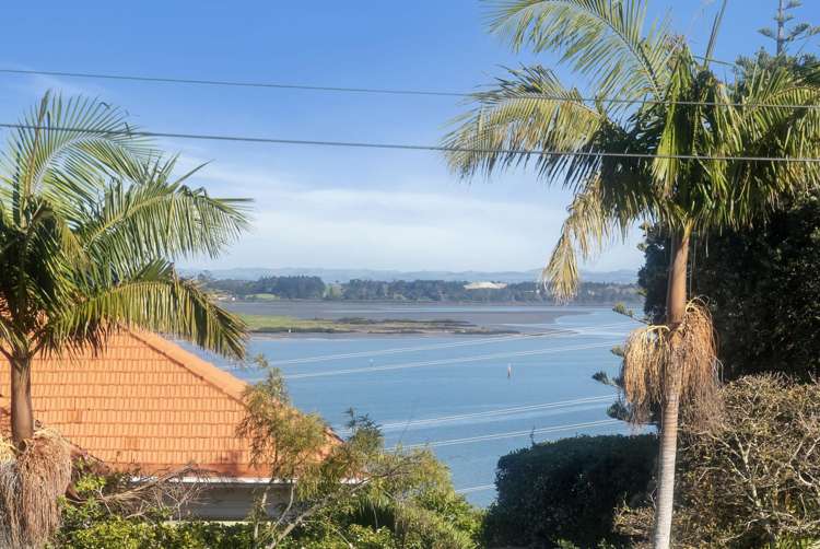 55 Seacliffe Road Hillsborough_27