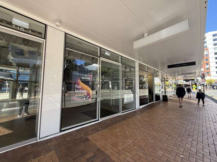 2/115 Victoria Street Te Aro_0