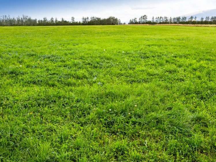 17 Bardsey Street Mosgiel_6