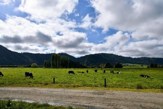 302 Kohaihai Road Karamea_3