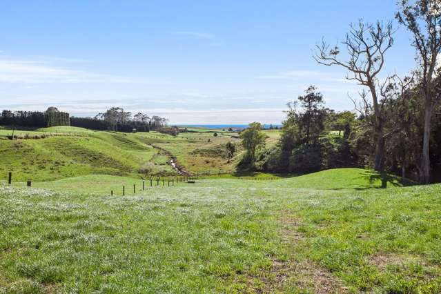 Hukutaia Road Opotiki and Surrounds_4