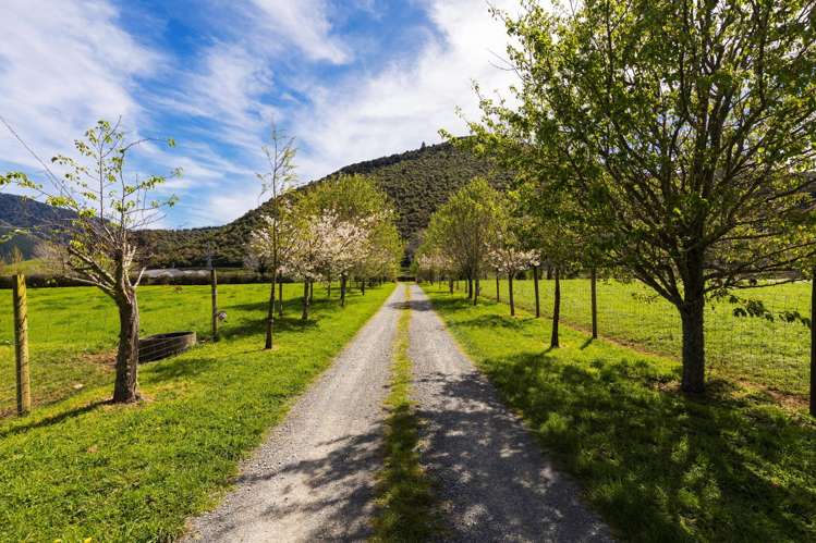 5788 State Highway 6 Pelorus Bridge_6