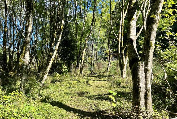 754 Rutherglen Road Rutherglen_6