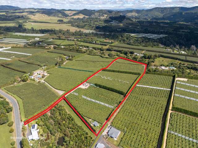 748B No 1 Road Te Puke_4