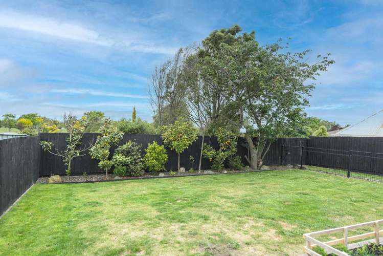 33 Reginald Street Burwood_18