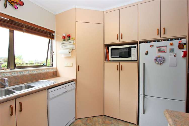 311 Marshall Crescent Thames_5