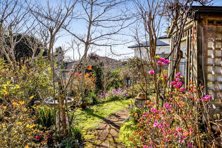 90 Mill Road Lower Vogeltown_36