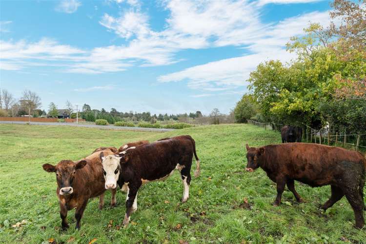 2636 River Road Horsham Downs_38