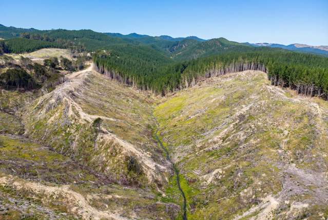 Lot 2 Kaiwhata Road Te Wharau_3