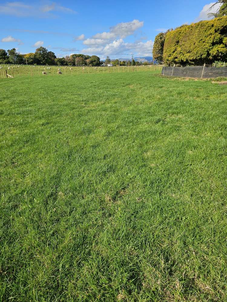 147 Koputaroa Road Levin_9