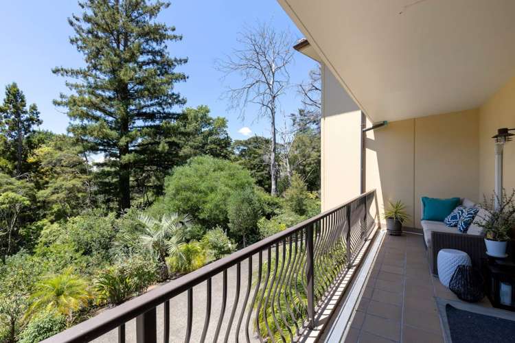 2/7 The Avenue Albany_10