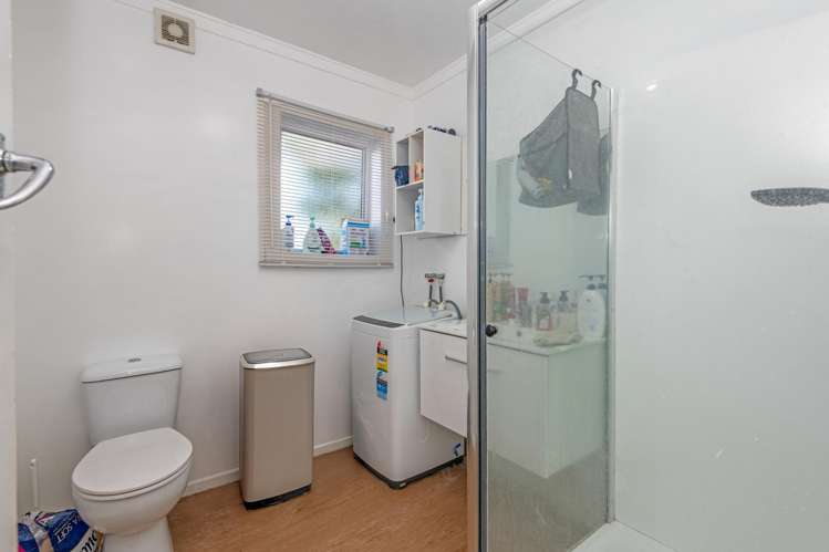 28 and 28a Hammond Street Bulls_16