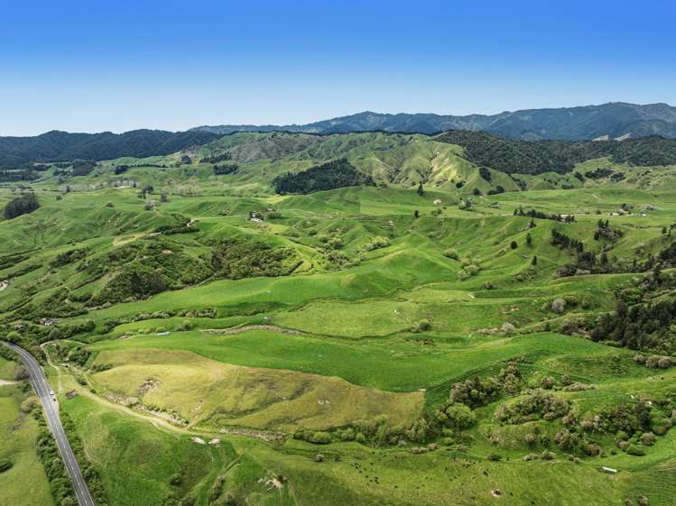 1794 State Highway 2 East Nukuhou_3