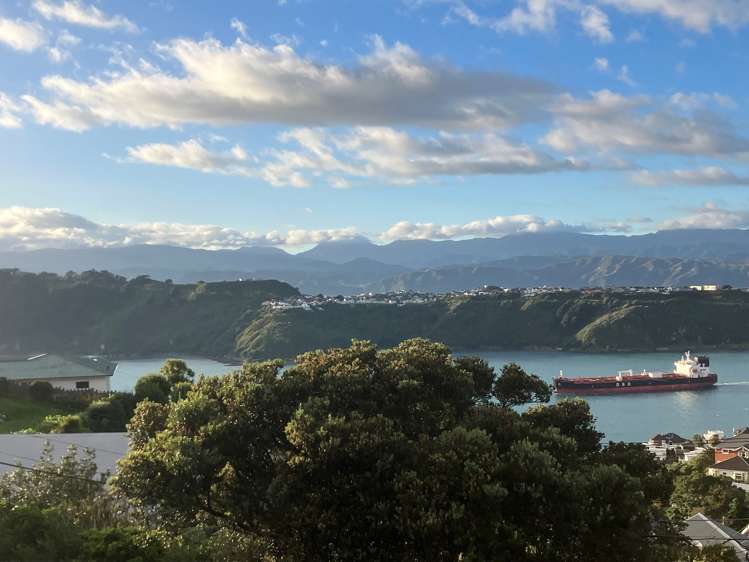 64 Roseneath Terrace Roseneath_17