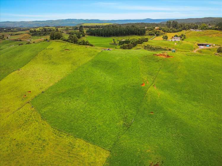 938C Whakamarama Road Whakamarama_7