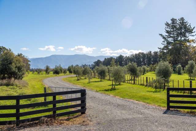 Lot 2, 122 Cross Line Greytown_4