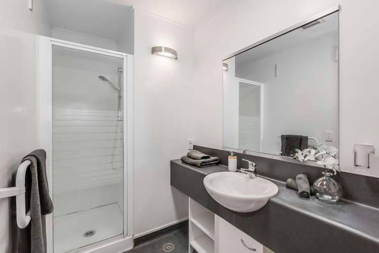 5/7 Feltex Lane Te Aro_9