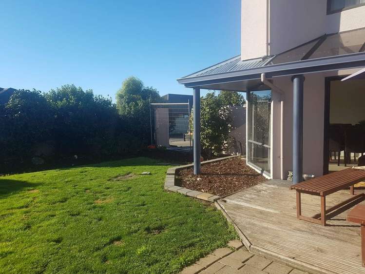 55 Lowry Avenue Redwood_11