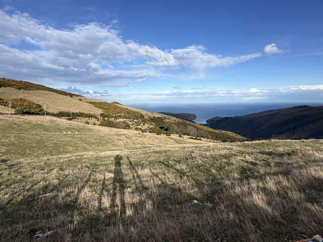 490 Long Bay Road Akaroa_3