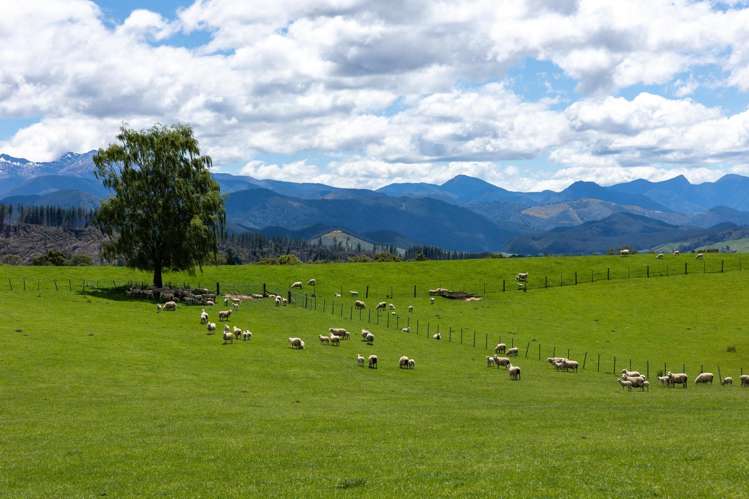 281 Tadmor Valley Road Tapawera_41