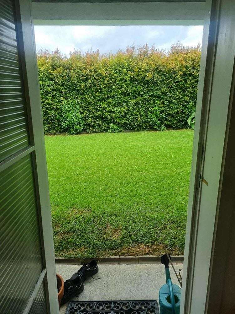 12A Westwell Road Belmont_11